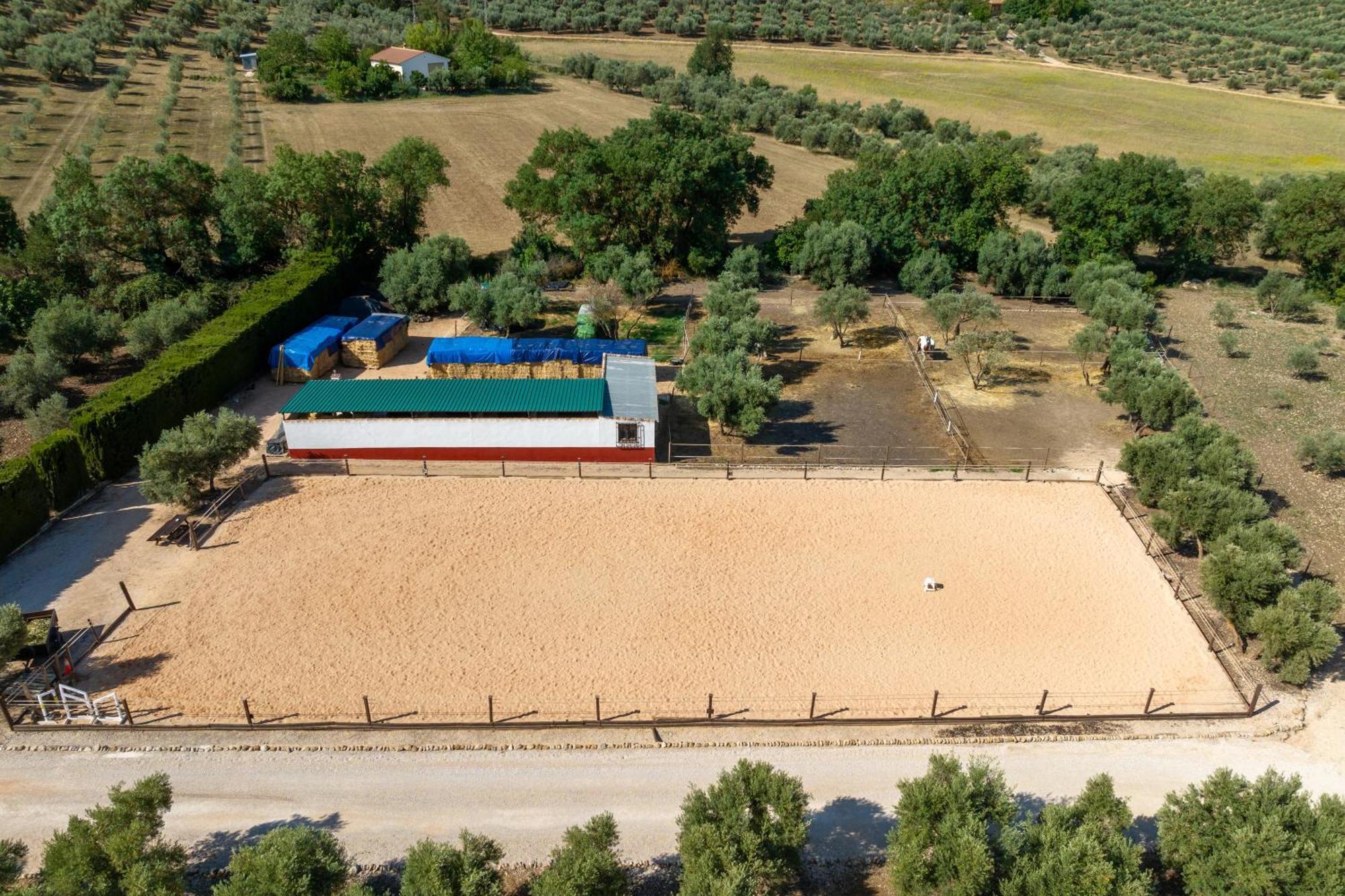 Pasa Fina, Luxury Holiday Retreat ビジャヌエバ・デル・トラブコ エクステリア 写真